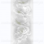 Панели ПВХ 0,25*2,7 851, Белая роза