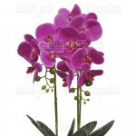 Цветы искусственные SZ-86, Орхидея, 50 см, Фиолетовая