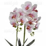 Цветы искусственные SZ-86, Орхидея, 50 см, Бело-розовая