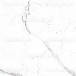 60/60 Primavera NR101, Дарио/Dario