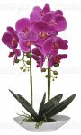 Цветы искусственные SZ-60, Орхидея фиолетовая, тарелка с камнями, 50 см