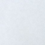 Обои ERISMANN 60939-04, Винил горячего тиснения на флизелине, 1,06*10,05 м, Monica/Моника