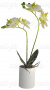 Цветы искусственные SZ-58, Орхидея белая, в круглом керамическом горшке, 40 см