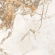 60/120 Скайрос/Skyros 60120SKY21P, Gold 60/120 Скайрос/Skyros 60120SKY21P, Gold