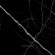 60/60 Primavera CR125, Олтан/Oltan Black 60/60 Primavera CR125, Олтан/Oltan Black