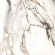 60/120 Calcutta Paonazzo GT120603603PR 60/120 Calcutta Paonazzo GT120603603PR