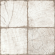 41/41 Ringwood GP6RIT01, Tik Crema, бежевый, 41*41 см 41/41 Ringwood GP6RIT01, Tik Crema, бежевый, 41*41 см
