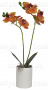 Цветы искусственные SZ-58, Орхидея оранжевая, в круглом керамическом горшке, 40 см